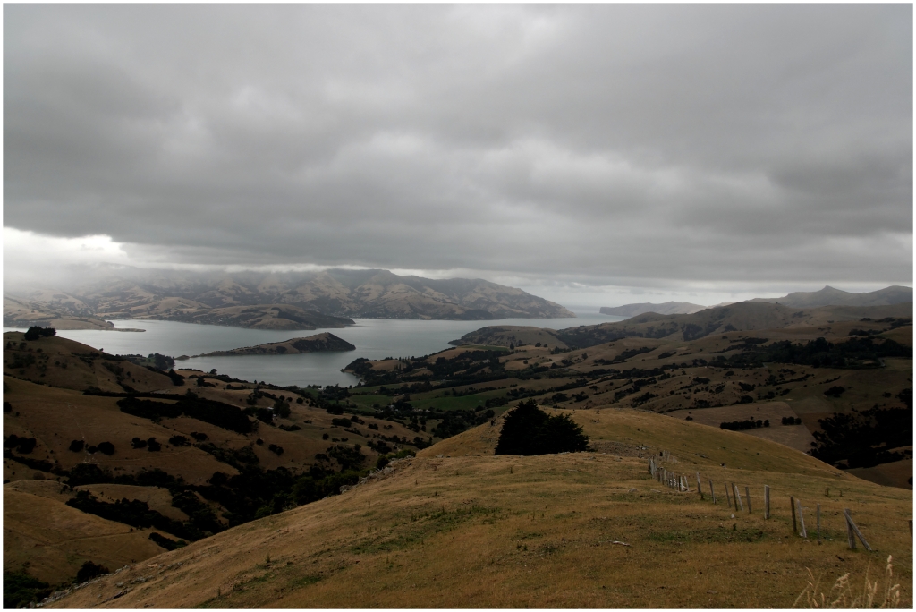 02 - Akaroa (01).jpg
